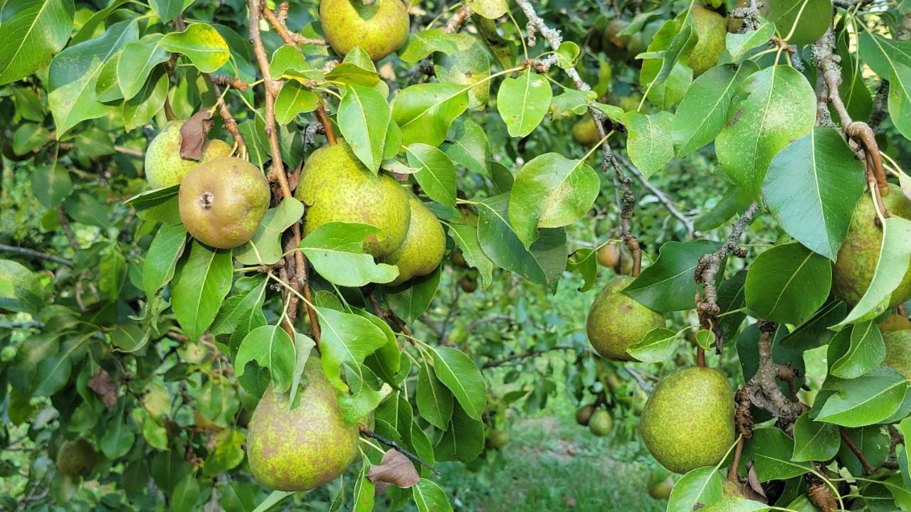 La Cabane Du Pecheur Edon 外观 照片